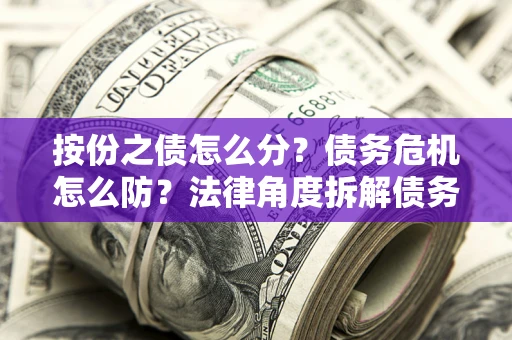武汉按份之债怎么分？债务危机怎么防？法律角度拆解债务分配与风险自保指南