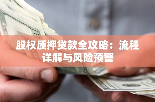武汉股权质押贷款全攻略：流程详解与风险预警