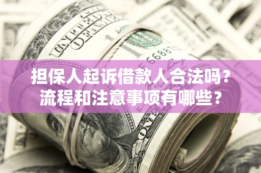 武汉担保人起诉借款人合法吗？流程和注意事项有哪些？