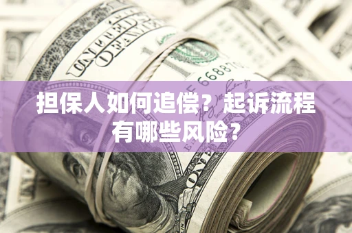 武汉担保人如何追偿？起诉流程有哪些风险？