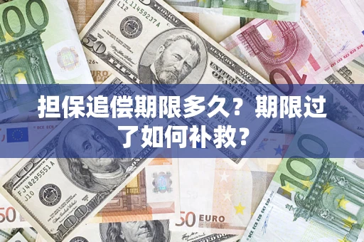 武汉担保追偿期限多久？期限过了如何补救？