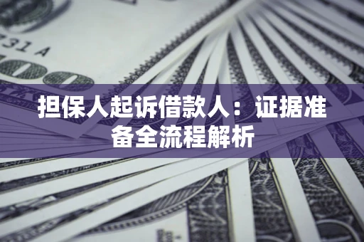武汉担保人起诉借款人：证据准备全流程解析