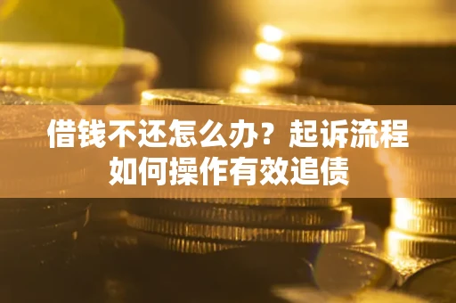 武汉借钱不还怎么办？起诉流程如何操作有效追债