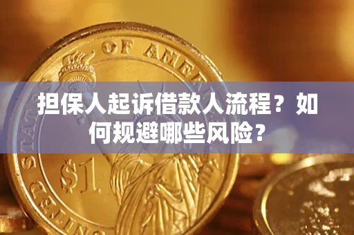 武汉担保人起诉借款人流程？如何规避哪些风险？