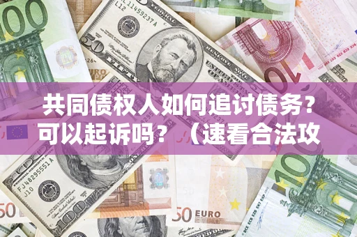 武汉共同债权人如何追讨债务？可以起诉吗？（速看合法攻略）
