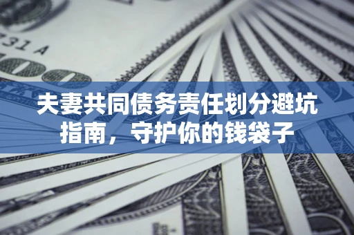 武汉夫妻共同债务责任划分避坑指南，守护你的钱袋子