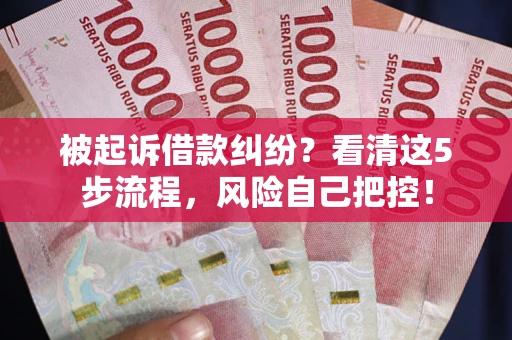 武汉被起诉借款纠纷？看清这5步流程，风险自己把控！