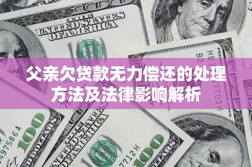 武汉父亲欠贷款无力偿还的处理方法及法律影响解析