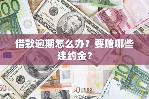 武汉借款逾期怎么办？要赔哪些违约金？
