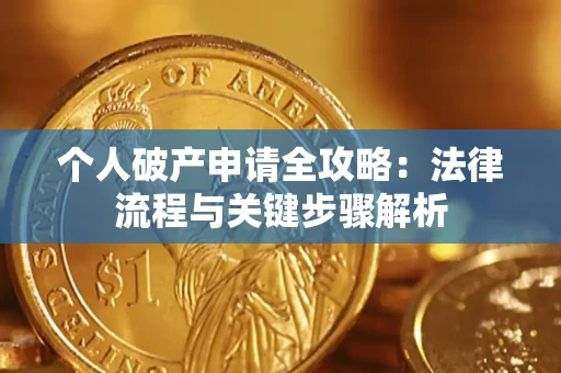 武汉个人破产申请全攻略：法律流程与关键步骤解析