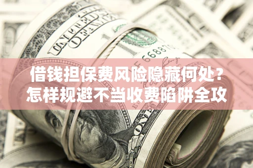 武汉借钱担保费风险隐藏何处？怎样规避不当收费陷阱全攻略！