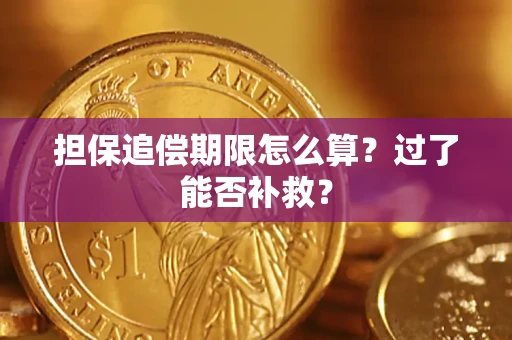 武汉担保追偿期限怎么算？过了能否补救？